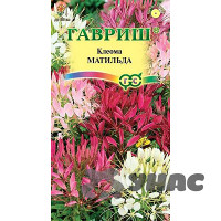 Клеома Матильда колючая Гавриш Ц
