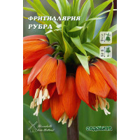 Фритиллярия Рубра 18/20 1 шт Садовита