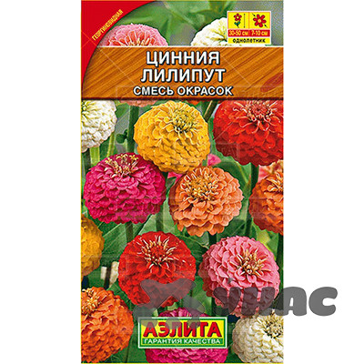 Циния Лилипут Аэлита Ц