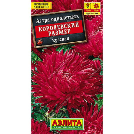 Астра Королевский размер красная Аэлита Ц