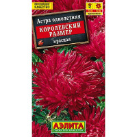 Астра Королевский размер красная Аэлита Ц