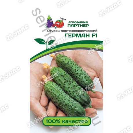 Огурец Герман Партнер Ц