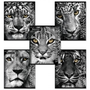 Тетрадь 48л. BRAUBERG ЭКО, клетка, обложка мелов. карт., "Wild&Free", 5 видов, 401810