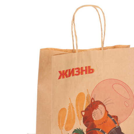 Пакет подарочный с кручеными ручками L 24х14х30см, "Попугай Кеша. На чиле", в ассортименте