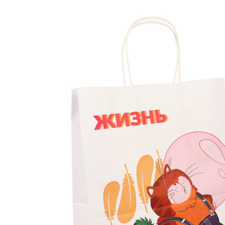 Пакет подарочный с кручеными ручками L 24х14х30см, "Попугай Кеша. На чиле", в ассортименте