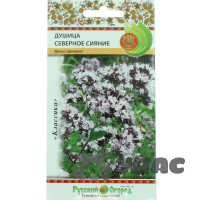 Душица Северное сияние обыкновенная НК Ц