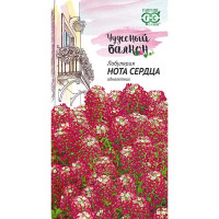 Лобулярия Нота сердца (Чудесный балкон)Гавриш Ц