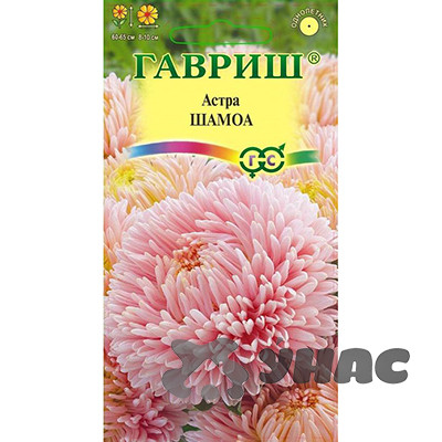 Астра Шамоа Гавриш Ц