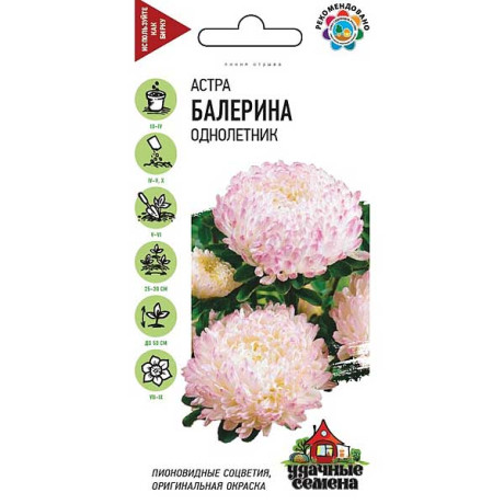 Астра Балерина Удач сем Гавриш Ц