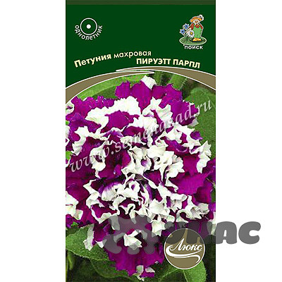 Петуния Пируэтт парпл махр Поиск Ц