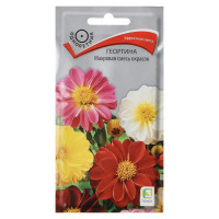 Георгина Махровая смесь окрасок 0,3гр
