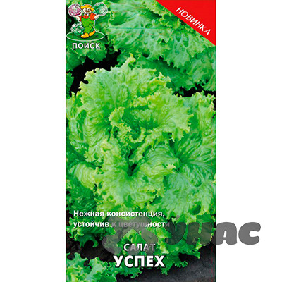 Салат Успех Поиск Ц
