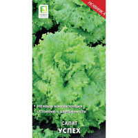 Салат Успех Поиск Ц