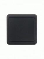 Lezard VIOLA выкл. ОУ 1 кл. черн.(корп. ABS) 751-4200-100