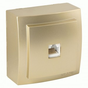 Nilson THEMIS роз. компьют. ОУ 1 мест. золото (RJ45) 26151044