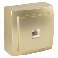 Nilson THEMIS роз. компьют. ОУ 1 мест. золото (RJ45) 26151044