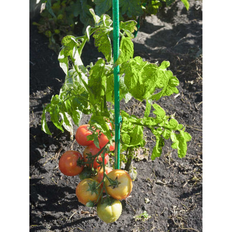 Колышки 0,8м труба 10мм САДОВИТА (комплект 10шт)