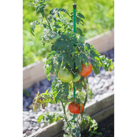 Колышки 0,8м труба 10мм САДОВИТА (комплект 10шт)