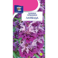 Монарда Ламбада Урожай у дачи Цх10