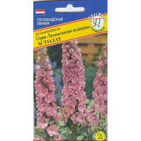 Дельфиниум Тихоокеанские велик Астолат Престиж Ц