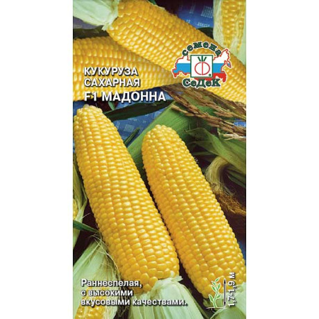 Кукуруза Мадонна F1 Седек Ц