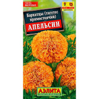 Бархатцы Апельсин Аэлита Ц