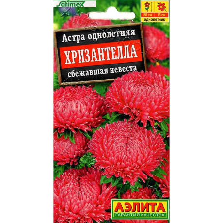 Астра Хризантелла сбежавшая невеста Аэлитаа Цх10