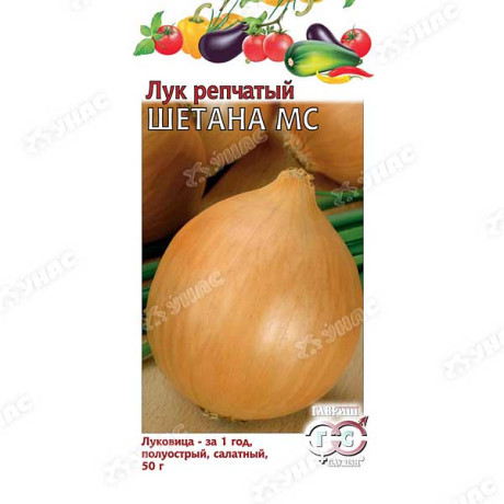 Лук Шетана Гавриш Ц