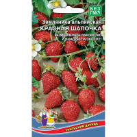 Земляника Красная шапочка альпийская Марс Ц