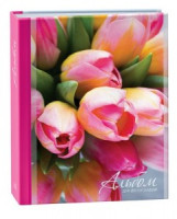 Фотоальбом Image Art (ф/а) 200 фото 251 IA -200PP 9126