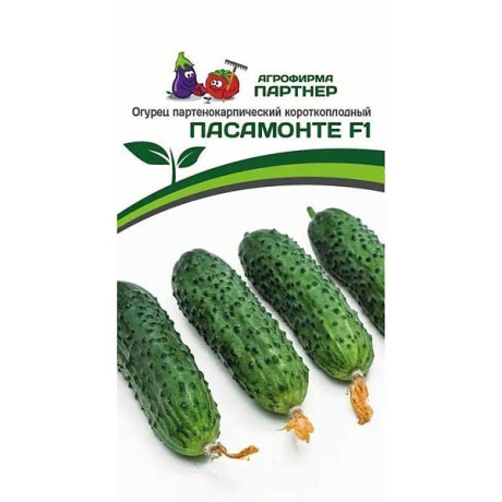 Огурец Пасамонте Партнер Ц